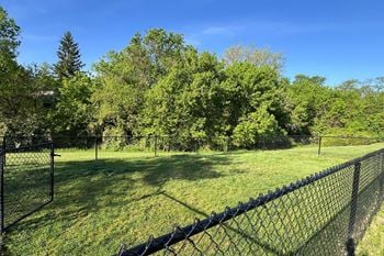 Bark park